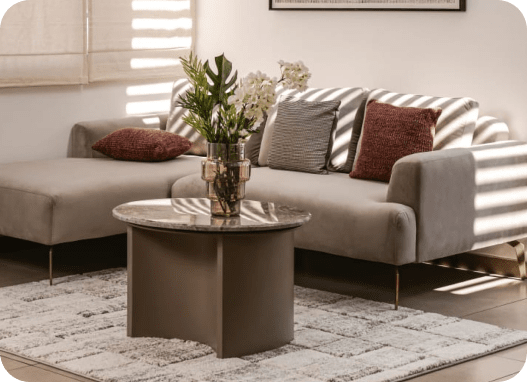Living room sofa and coffee table